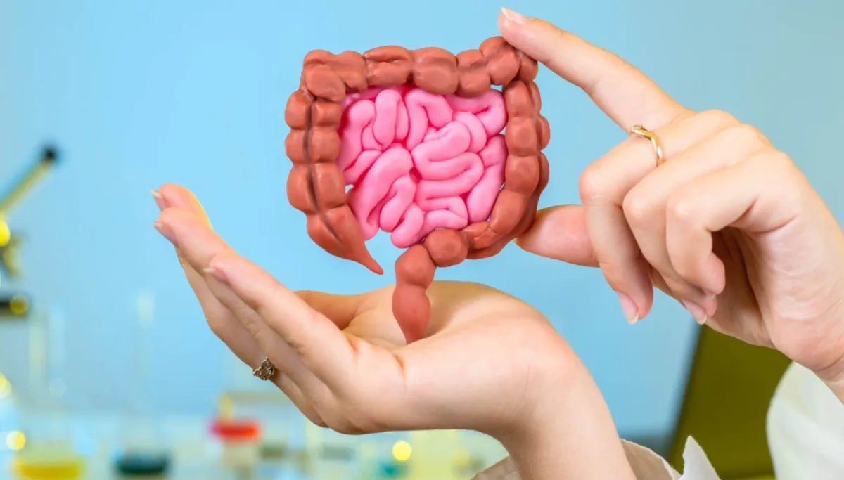 How to Improve Gut Health